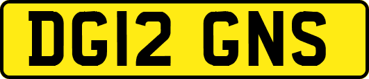DG12GNS