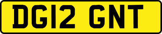 DG12GNT