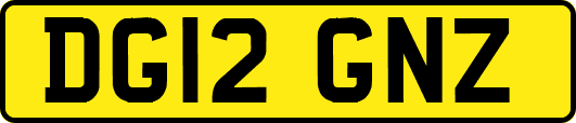 DG12GNZ