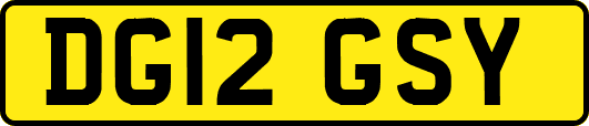 DG12GSY