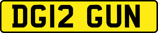 DG12GUN