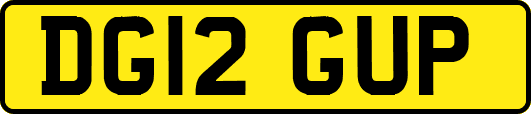 DG12GUP