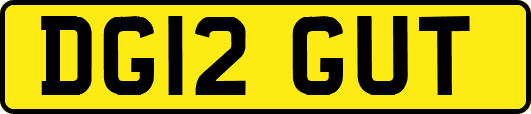 DG12GUT