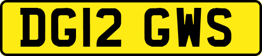 DG12GWS