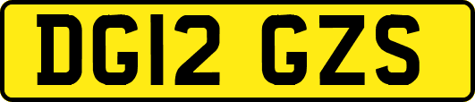 DG12GZS