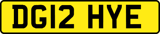 DG12HYE