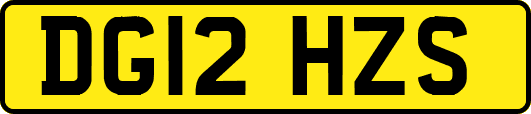 DG12HZS