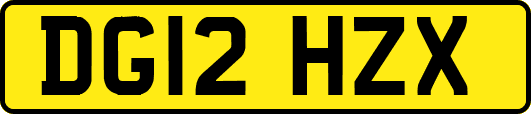 DG12HZX