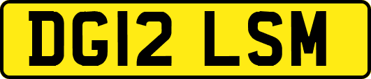 DG12LSM