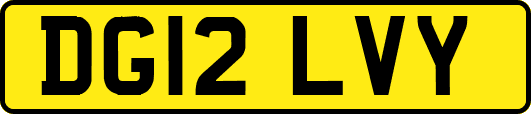 DG12LVY