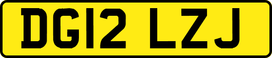 DG12LZJ