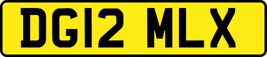 DG12MLX