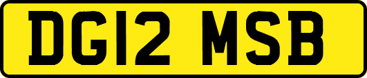 DG12MSB