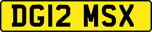 DG12MSX