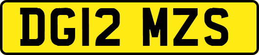 DG12MZS