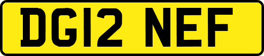 DG12NEF