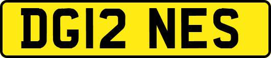 DG12NES