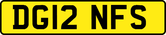 DG12NFS