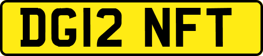 DG12NFT