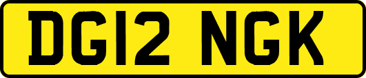 DG12NGK
