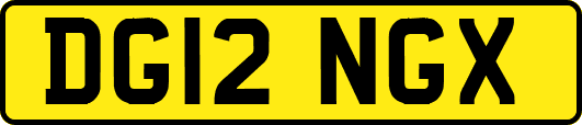 DG12NGX