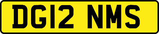 DG12NMS