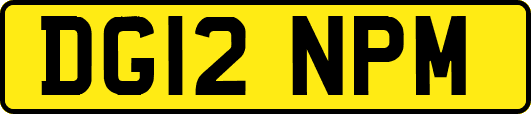 DG12NPM