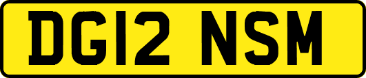 DG12NSM