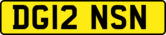 DG12NSN