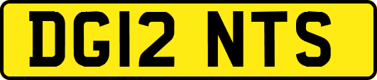 DG12NTS