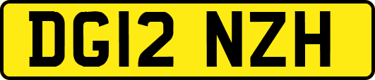DG12NZH