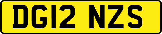 DG12NZS