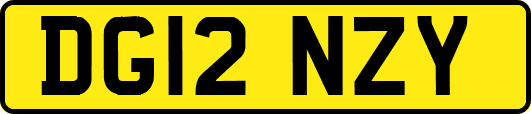 DG12NZY