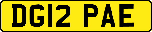 DG12PAE