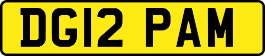 DG12PAM