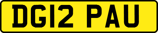 DG12PAU