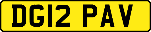 DG12PAV
