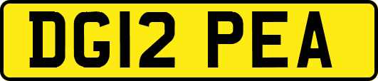 DG12PEA
