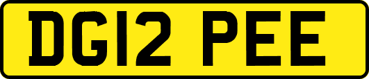DG12PEE