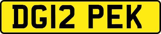 DG12PEK
