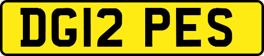 DG12PES