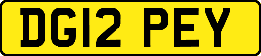 DG12PEY
