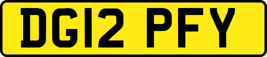 DG12PFY