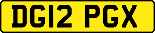DG12PGX