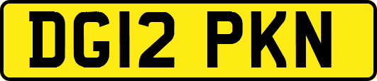 DG12PKN