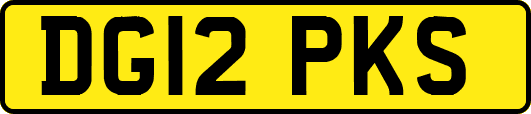 DG12PKS
