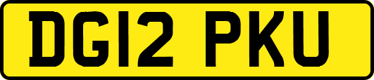 DG12PKU