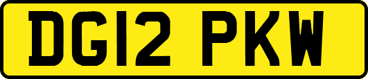 DG12PKW