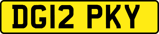 DG12PKY