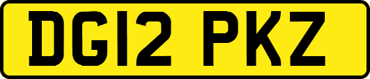 DG12PKZ